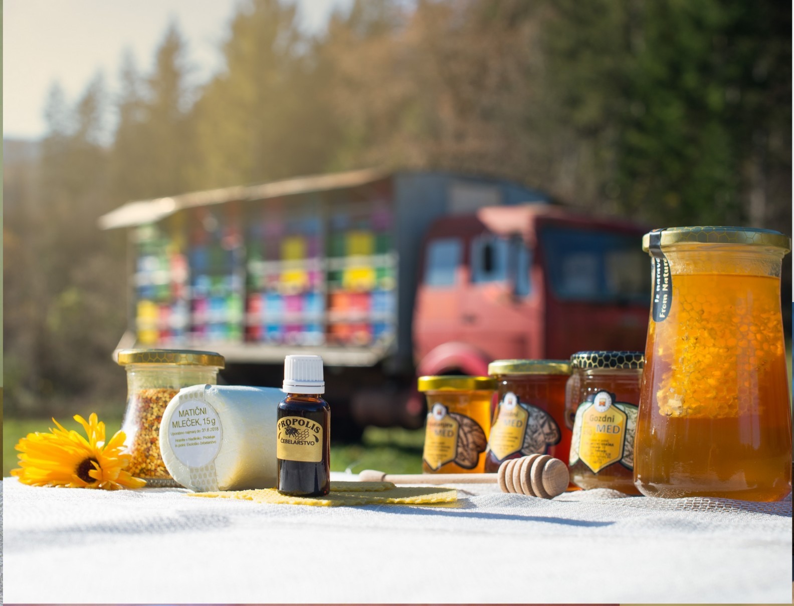 pridelki_matični_propolis_cvetni prah_med (002)